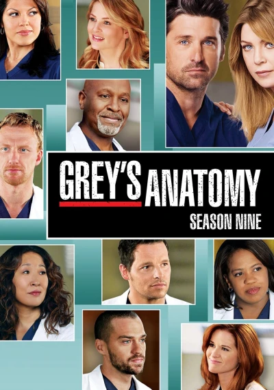 Ca Phẫu Thuật Của Grey (Phần 9) - Grey's Anatomy (Season 9) (2012)